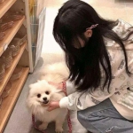 蜀山修仙奇缘手机